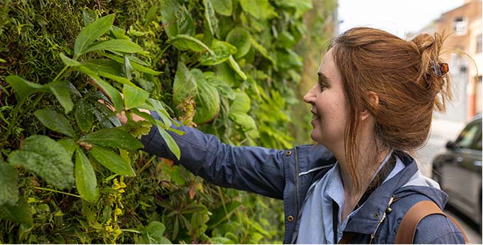 A member of the public touches a living wall in a city centre.