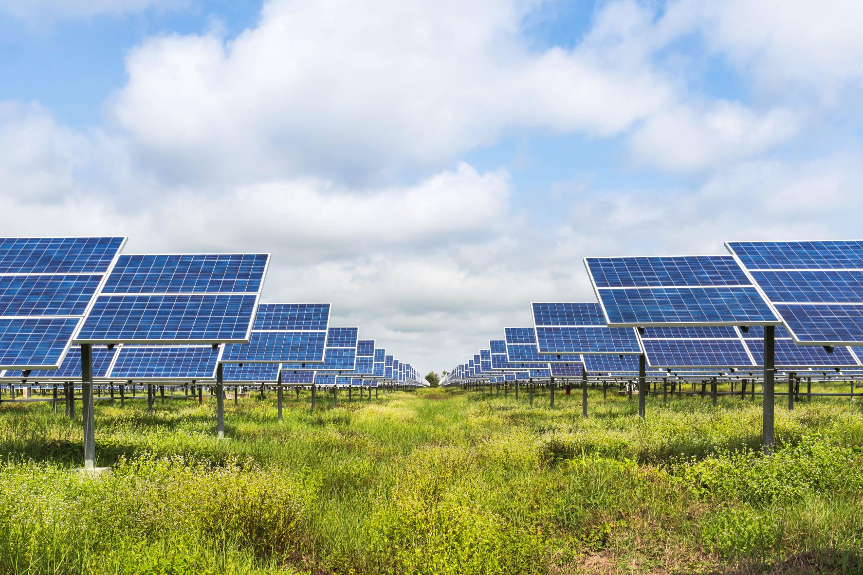 Rows of solar panels have been installed in a grassy sunny field.
