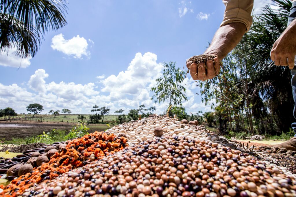 A hand grabbing beans from a pile on the ground