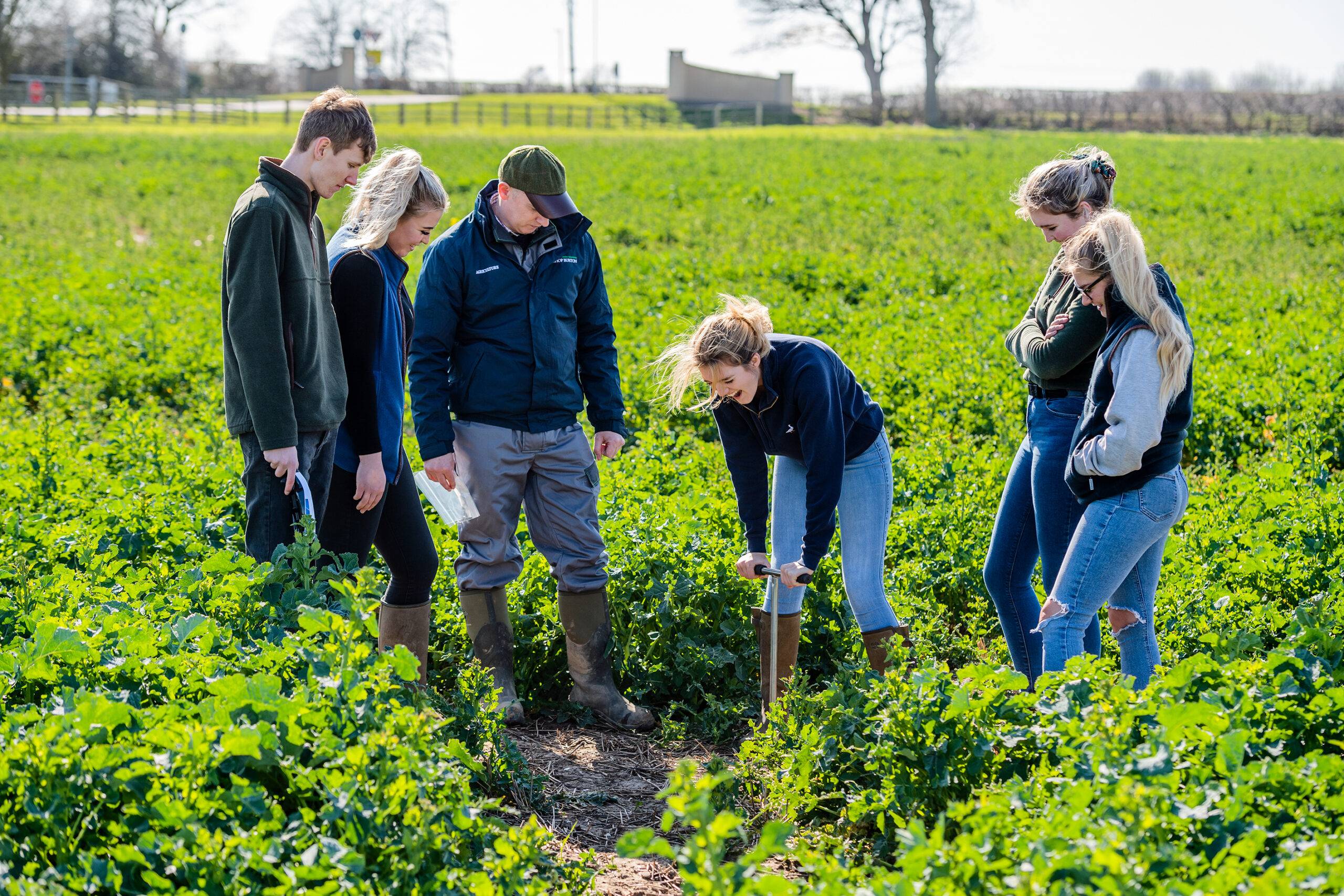 Students in a field planting a tree