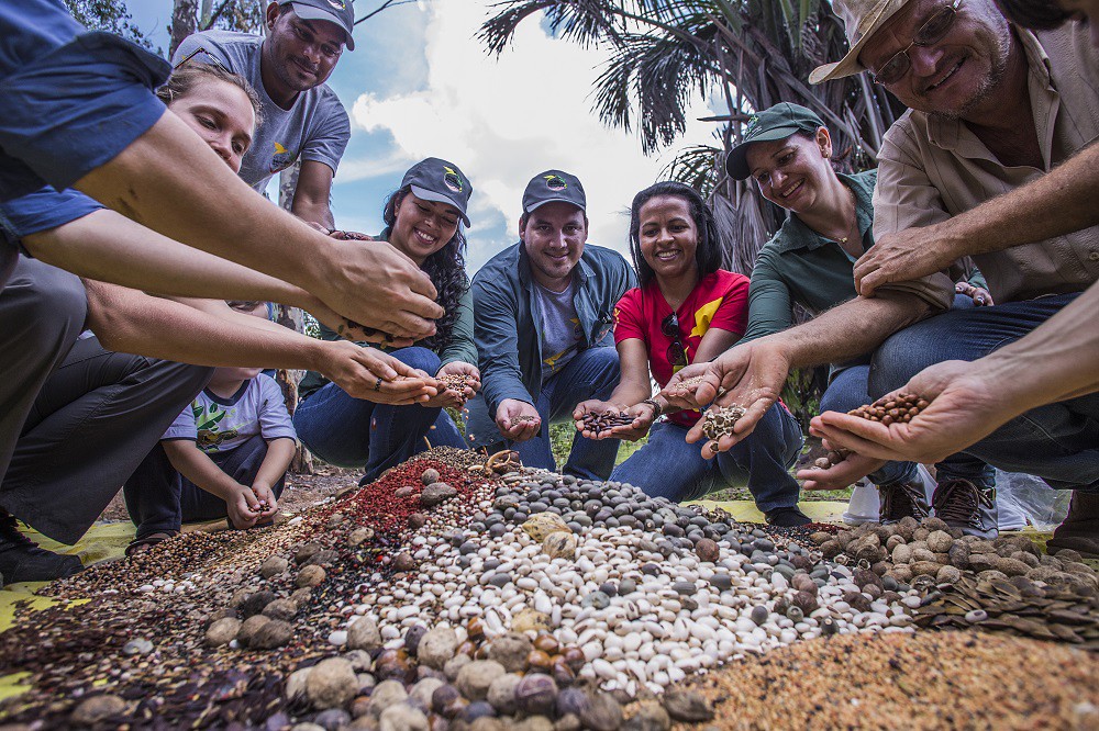 A group of community members in the Amazon proudly hold up a variety of seeds that they have collected from the forest.