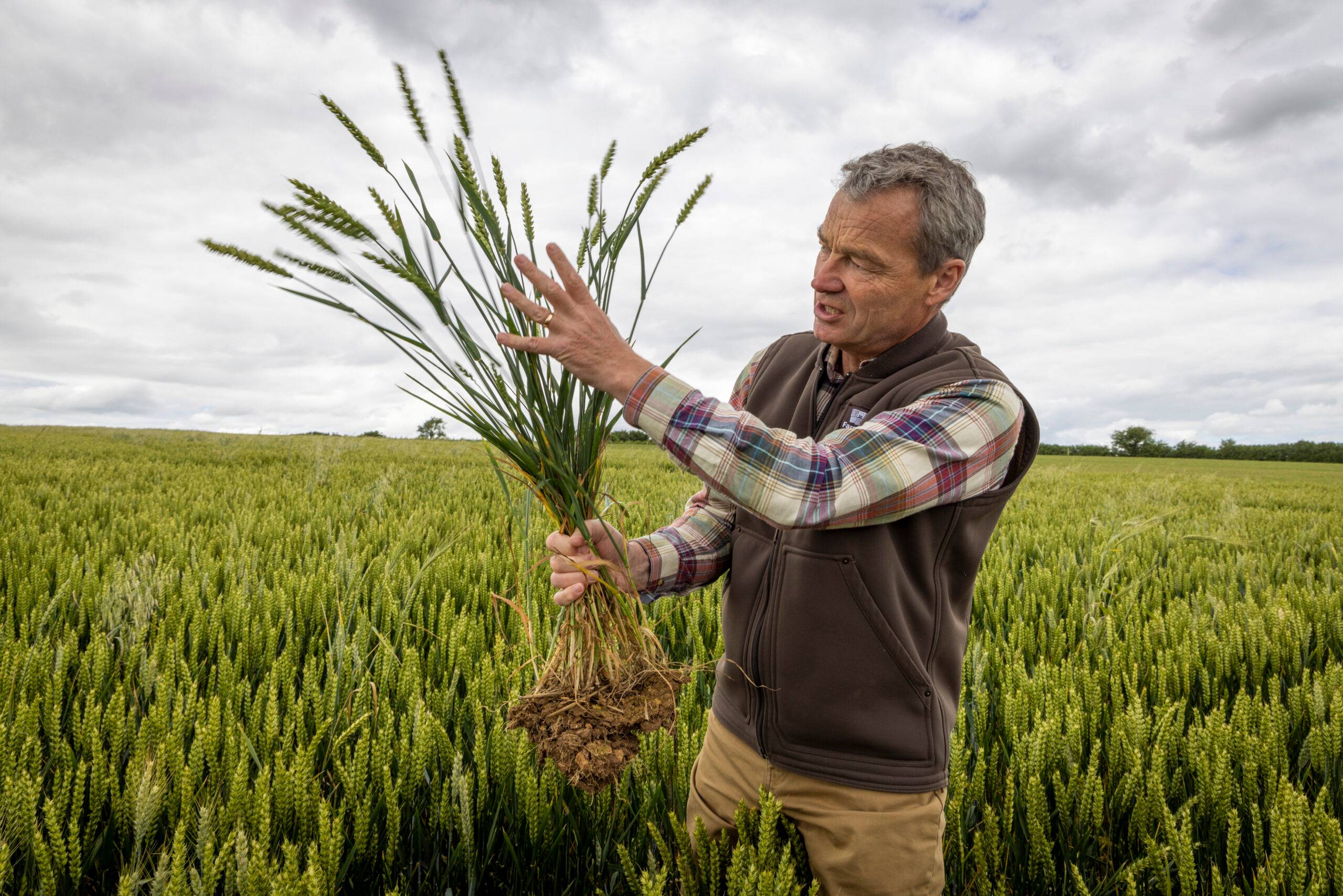 Ian Wilkinson, CEO of FarmEd, at Honeydale Farm 2022 Ashden awards finalist on the 27th of June 2022, Chipping Norton, Oxfordshire, United Kingdom. FarmEd is an educational centre promoting regenerative and agroecological farming systems in the UK.