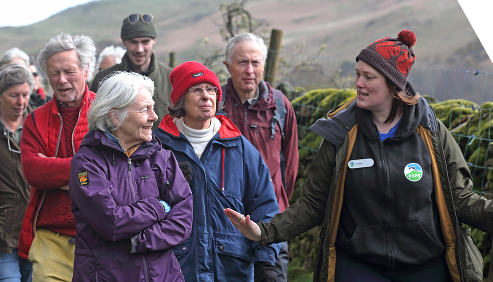 A group of volunteers walk beside a member of the RSPB who is guiding them through a nature restoration project in the Lake District.