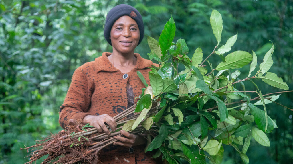 A woman stands in a green forest, smiling and holding a large bundle of young tree saplings with roots exposed. She wears a brown patterned sweater and a dark beanie.