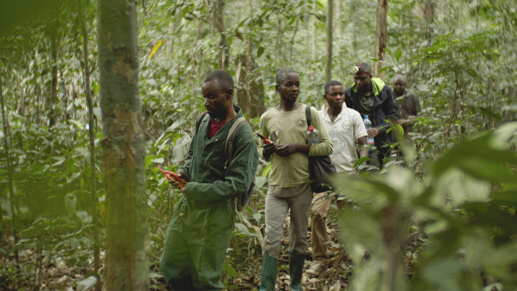 A group of males walking through a forest