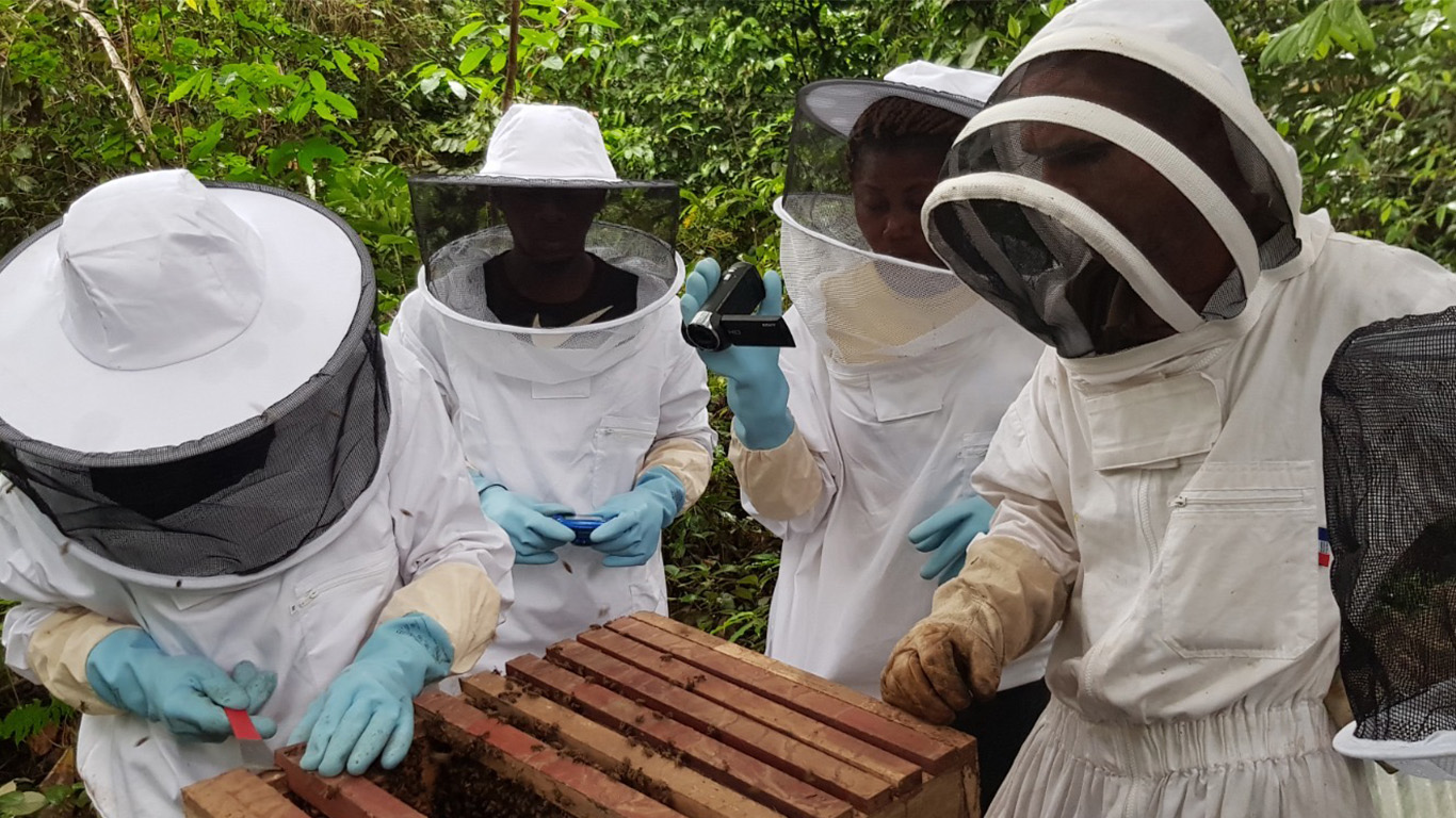 Four people wearing white beekeeping suits, gloves, and mesh face veils examine a wooden beehive in a forest. One person uses a hive tool, another holds a camera, and the others observe attentively.
