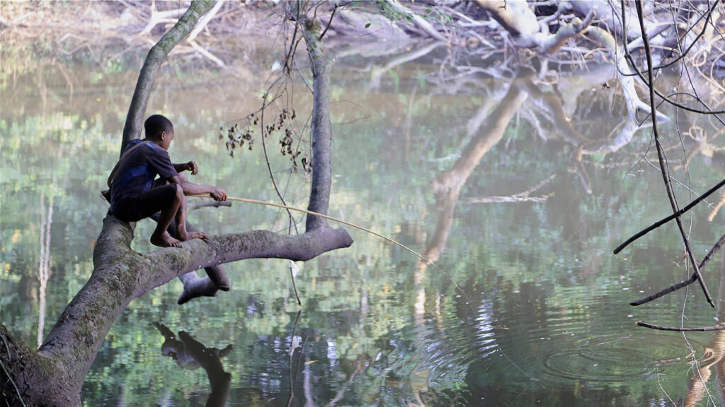 A boy sitting on a tree branch above a river