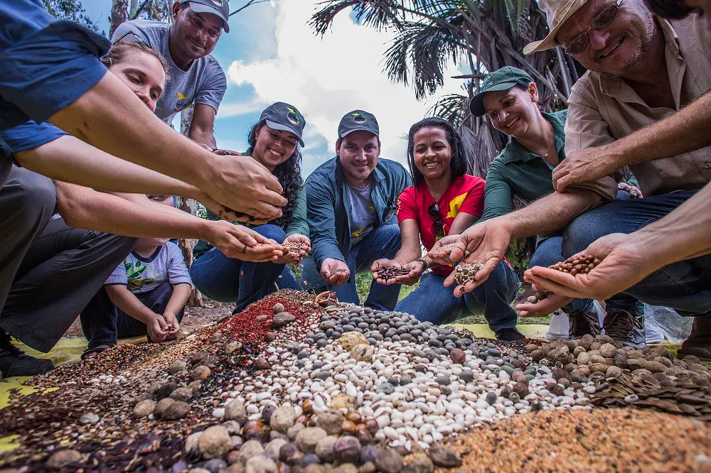 A group of community members in the Amazon proudly hold up a variety of seeds that they have collected from the forest.