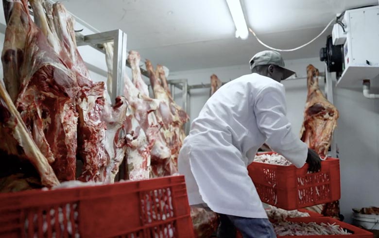 A man is storing meat in one of Baridi's solar powered cold rooms and bulk milk coolers built for farm gate aggregation and cooperative scale use.